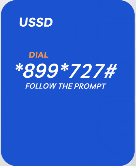 RapidPay USSD *899*727#